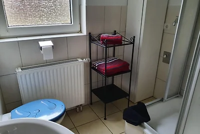 Apart Lachmöwe