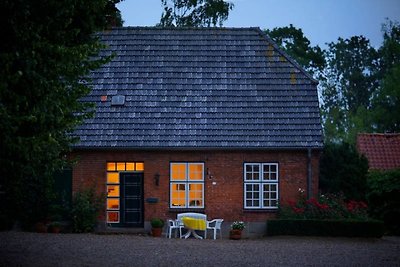 Cottage Gänseblümchen