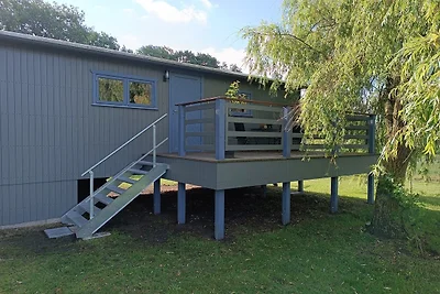 Tiny House & Alpaka-Erlebnis im