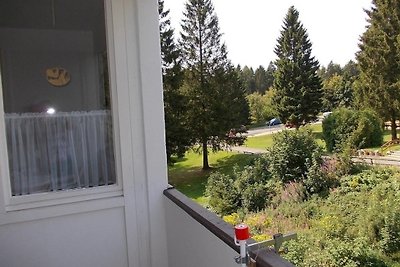 Vakantieappartement Gezinsvakantie Hahnenklee