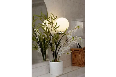 Wohnung Siebensteinkopf