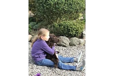 Ferienhof Marquardt Bungalow 5