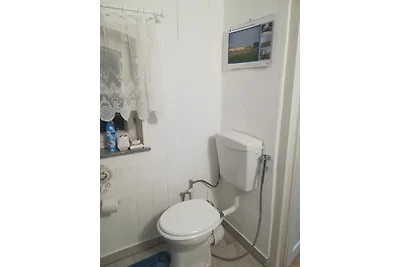 Ferien in der Scheune