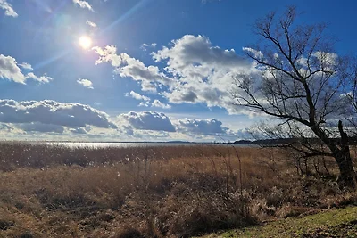Ferienhaus Köhler am Walde, Urlaub