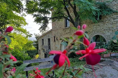 Vakantiehuis Ontspannende vakantie Urbino