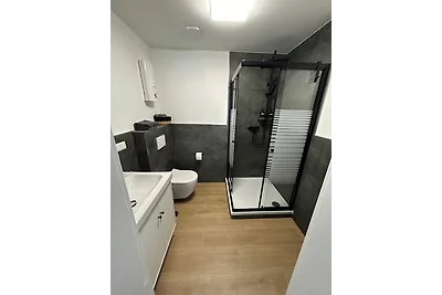 RheinSchatz Apartment 2