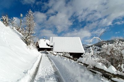 Appartamento Vacanza con famiglia Kremsbrücke