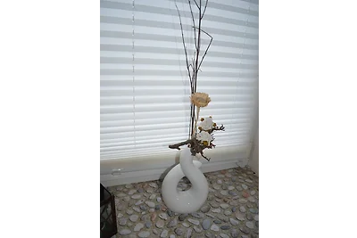 Vakantieappartement Gezinsvakantie Heede