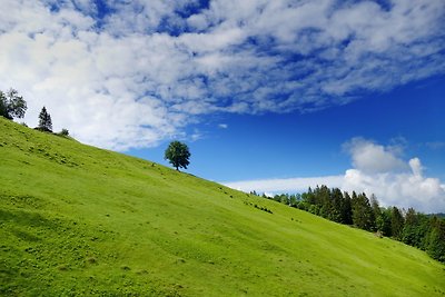 Appartamento Vacanza con famiglia Höchenschwand