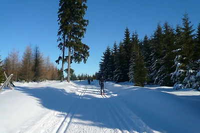 Ferienwohnung Wasserfloh