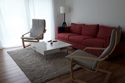 Seemöwe