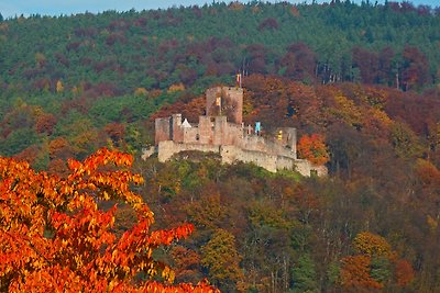 Appartamento Vacanza con famiglia Bad Bergzabern