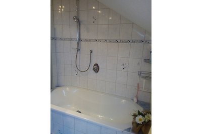 Vakantieappartement Gezinsvakantie Lenzkirch