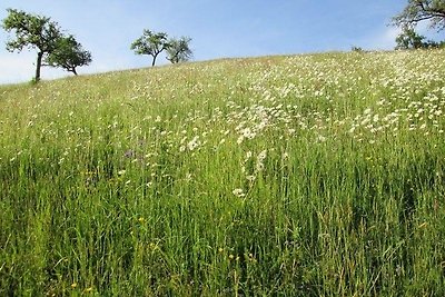 Appartamento Vacanza con famiglia Oberharmersbach