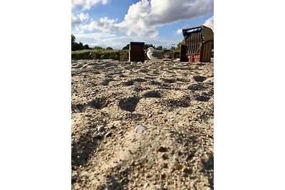 Strandbude Fehmarn