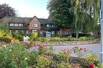 Vakantieappartement Gezinsvakantie Nieblum