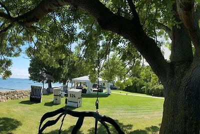 Ferienhaus "An der Steilküste"