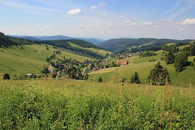 Ferienwohnung Todtnauberg in der