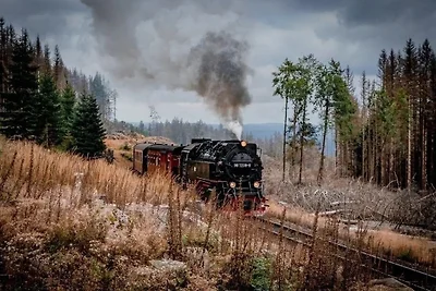 Villa Mara, Wohnung Anori