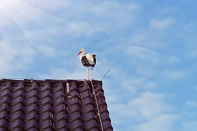 Casa vacanze Vacanza di relax Bautzen