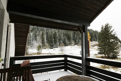 Appartamento Vacanza con famiglia Schluchsee