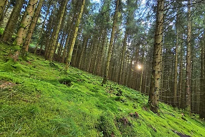 Ferienwohnungen Dorfliebe Dörnberg