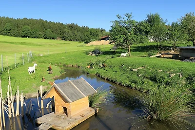 Vakantiehuis Ontspannende vakantie Regen