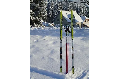 Ferienwohnung Brinkmann