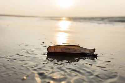 Haus Nordseemelodie Wohnung 4