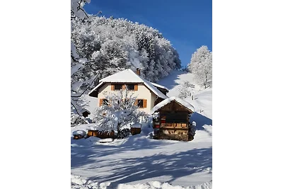 Appartamento Vacanza con famiglia Kleines Wiesental