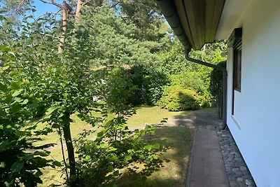 Sonnenschein