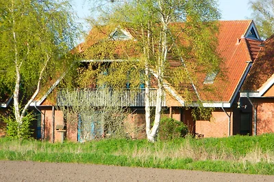 Vakantieappartement Gezinsvakantie Dahme