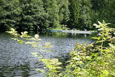 Harzhaus am Brunnen, Wohnung 1