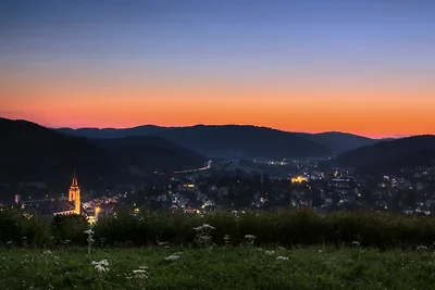 Drei Tannen - Wohnung 11 -