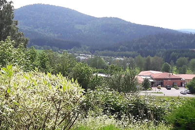 Apartament Dla rodzin Bodenmais