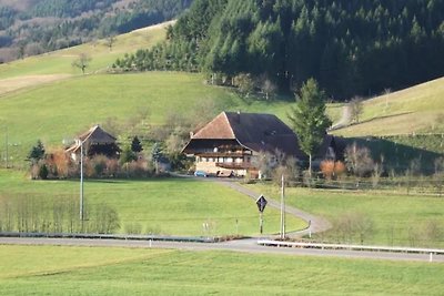 Sonniges, naturnahes Schwarzwald