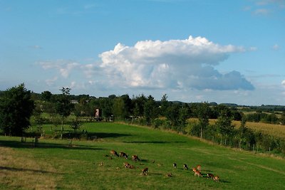 Vakantieappartement Gezinsvakantie Neubörm