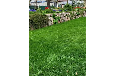 Voss barrierefrei - ABC313