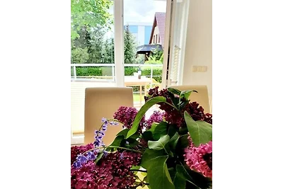 Kleiner Seezauber Bad Kleinen -