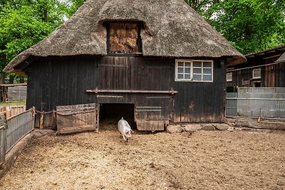 Vakantieappartement Gezinsvakantie Bispingen