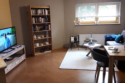 Vakantieappartement Gezinsvakantie Kastellaun