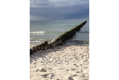 Appartamento Vacanza con famiglia Börgerende