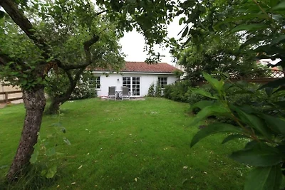 Appartement Vacances avec la famille Boren