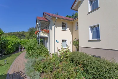 Vakantieappartement Gezinsvakantie Sellin