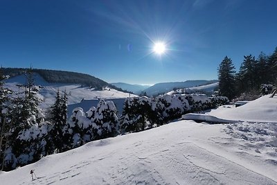 Appartamento Vacanza con famiglia Todtnau