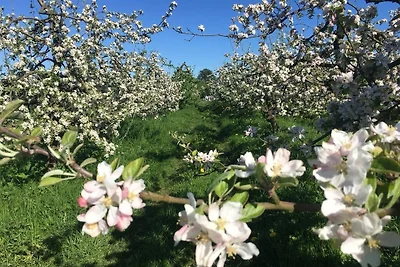 Appartamento Vacanza con famiglia Jork