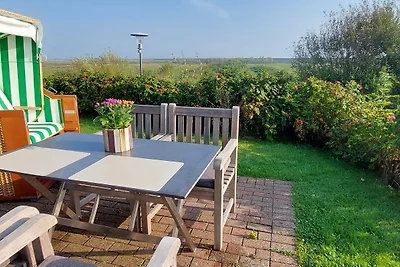 Hüs Waasluuper - Lachmöwe