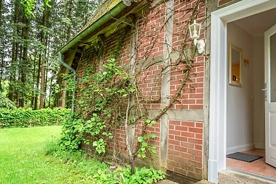 Hof Bockelmann - Stühbusch