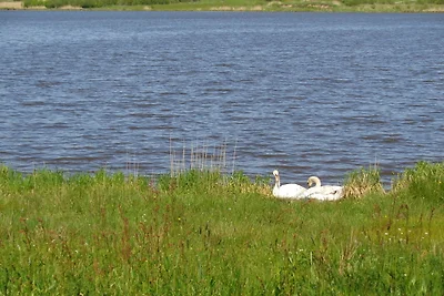 Ferienhaus Tine am Schlossberg in