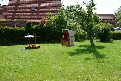 Apart Zwergmöwe im Möwennest